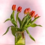 Tulpen in Vase mit eindeutiger Beschriftung